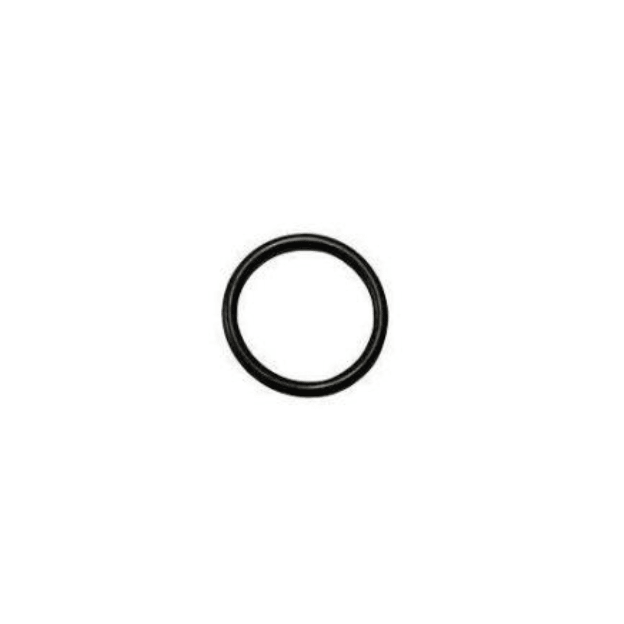 103338 Inlet Valve O-Ring
