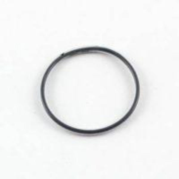117828 Manifold Filter O-Ring