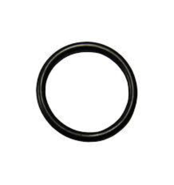17v093 Cylinder O-Ring