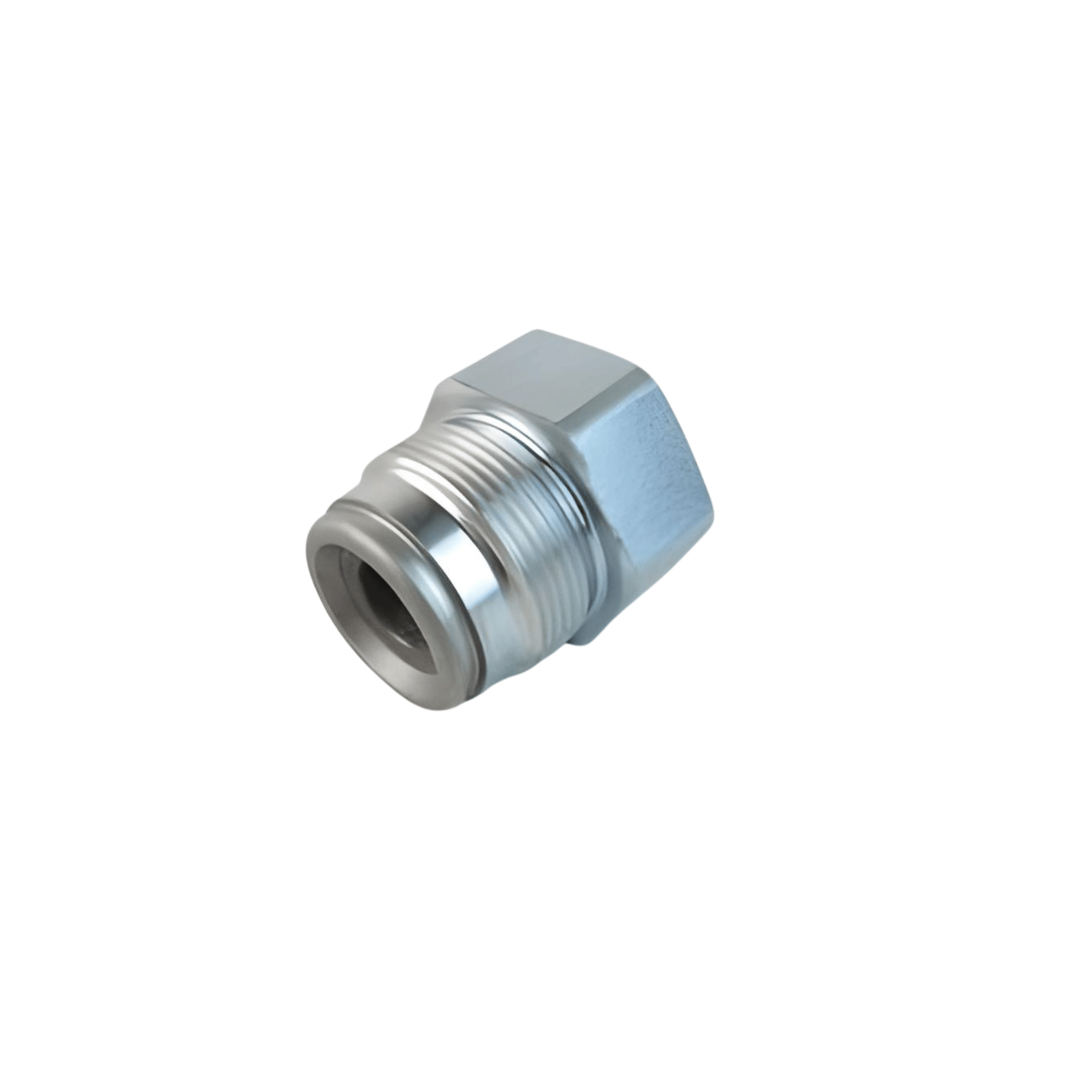 graco 224966 Inlet Valve