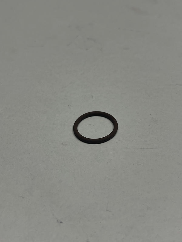 109576 O-Ring